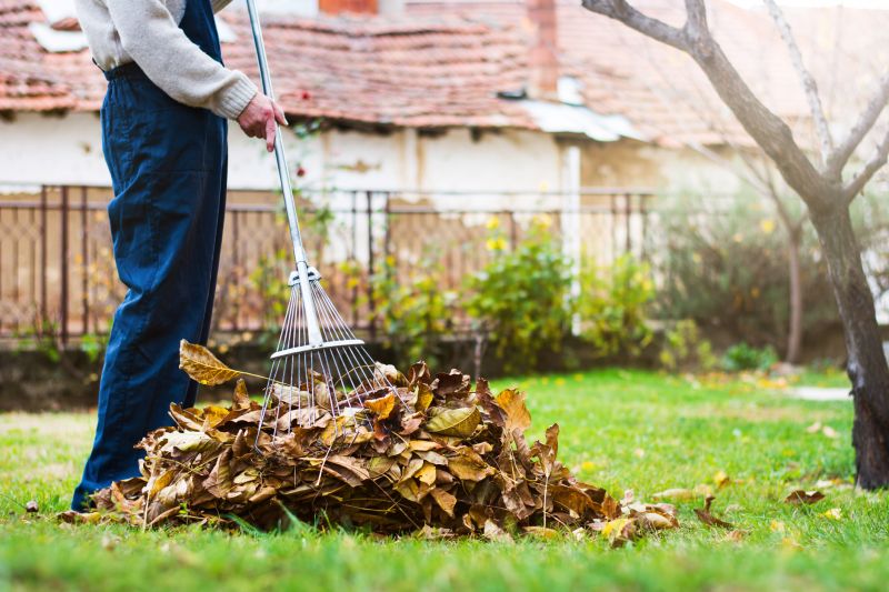 Seasonal Yard Preparation