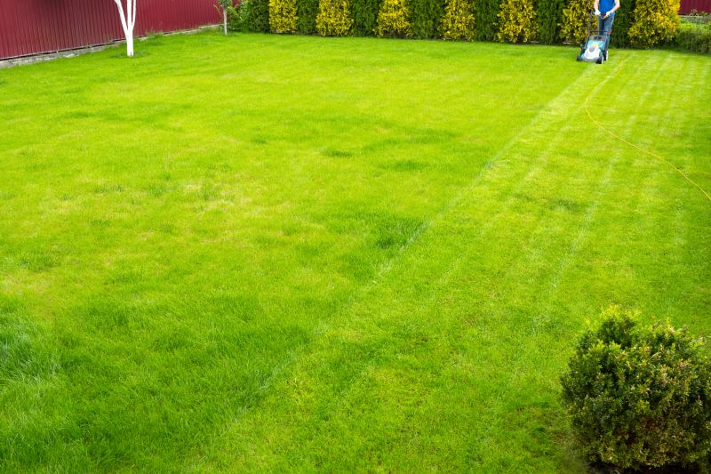 Finished Lawn