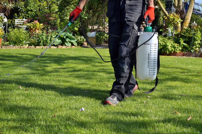 Routine Lawn Maintenance