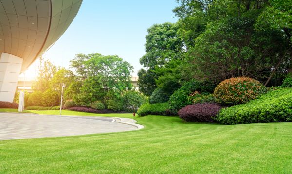 Commercial Lawn Mowing in Jacksonville