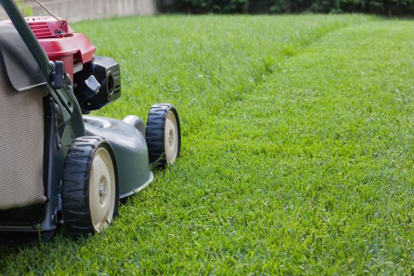 Lawn Care Service in Jacksonville