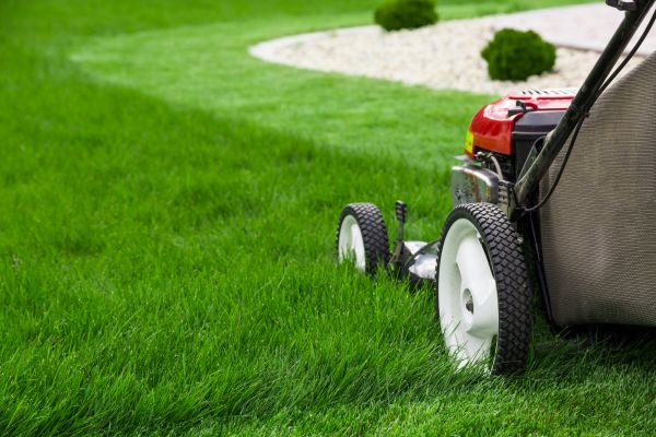 Mowing Service in Jacksonville