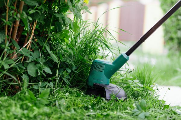 Weed Whacking in Jacksonville