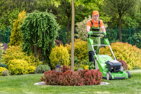 Yard Service in Jacksonville