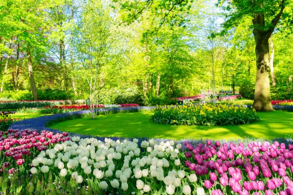 Spring Lawn Care in Jacksonville