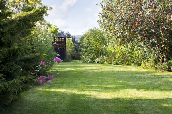 Yard Upkeep Service in Jacksonville