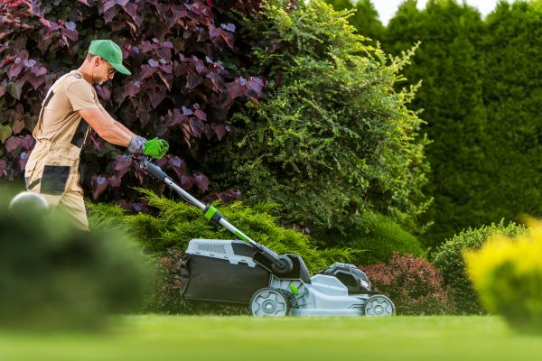 Lawn Management in Jacksonville