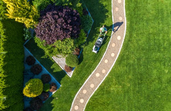 Mowing And Landscaping in Jacksonville