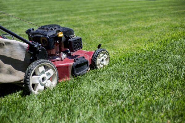 Routine Lawn Care in Jacksonville