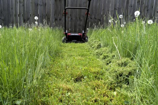 High Grass Mowing in Jacksonville
