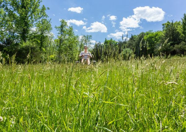 Long Grass Mowing in Jacksonville