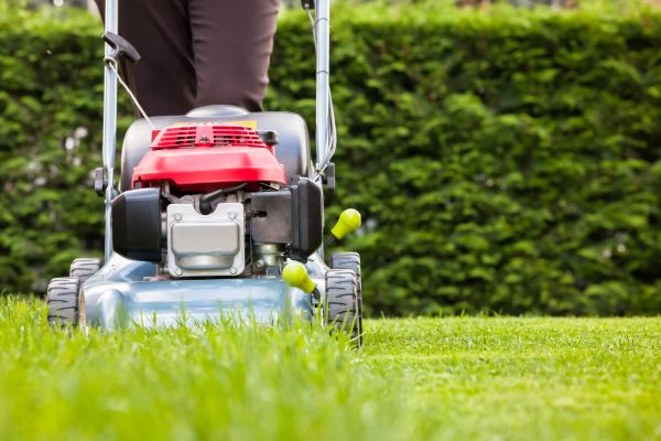 Grass Trimming Service in Jacksonville