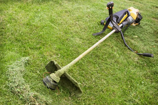 Cost of Hillside Weed Whacking in Jacksonville