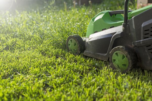 Cost of Lot Mowing in Jacksonville