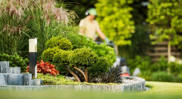 Residential Yard Maintenance in Jacksonville