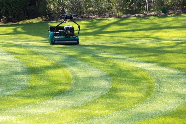 Business Lawn Mowing in Jacksonville
