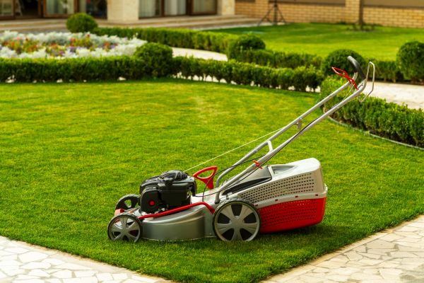 Business Grass Cutting in Jacksonville