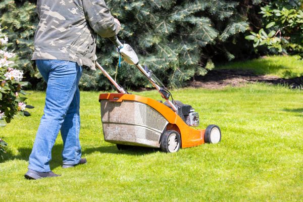 Springtime Lawn Care in Jacksonville