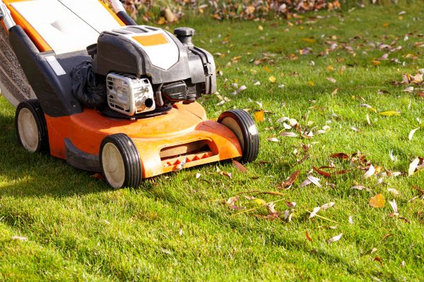 Cost of Fall Mowing in Jacksonville