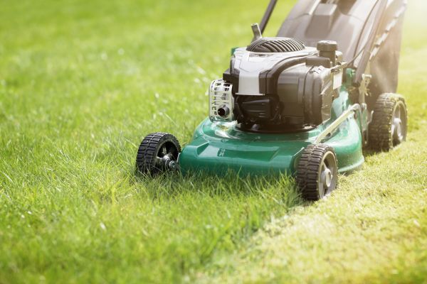 Cost of Spring Grass Trimming in Jacksonville
