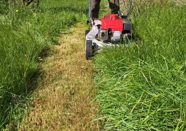 Leaf Mowing in Jacksonville