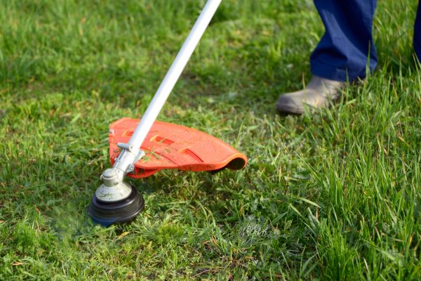 Cost of Lawn Weed Whacking in Jacksonville